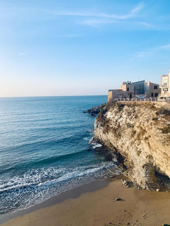 Le Lanterne Di Terrasini Hotel Екстериор снимка